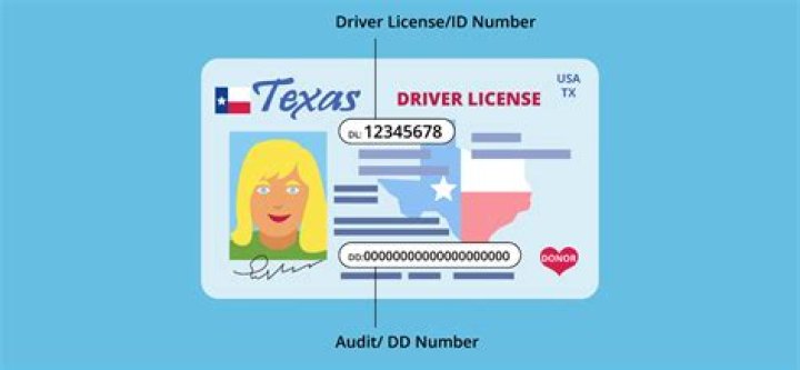 How do I find my Texas vid number