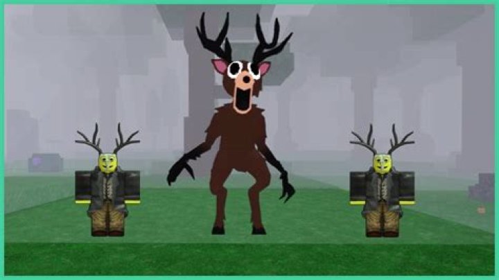 How do I get a deer tag in SC