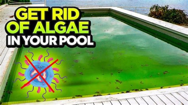 How do I get rid of algaecide in my pool