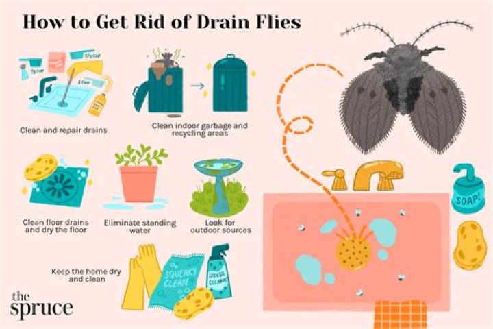 How do I get rid of dew worms