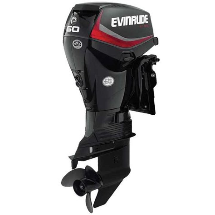 How do I identify my Evinrude outboard motor