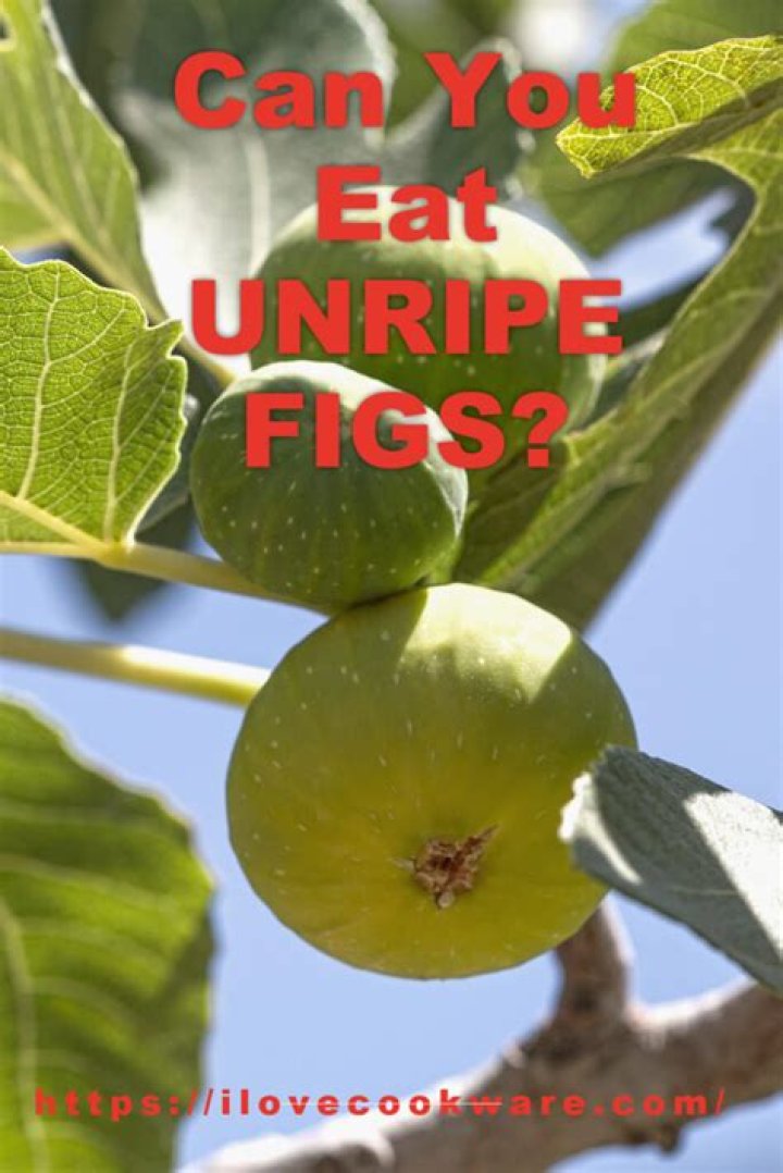 How do I keep animals from eating my figs