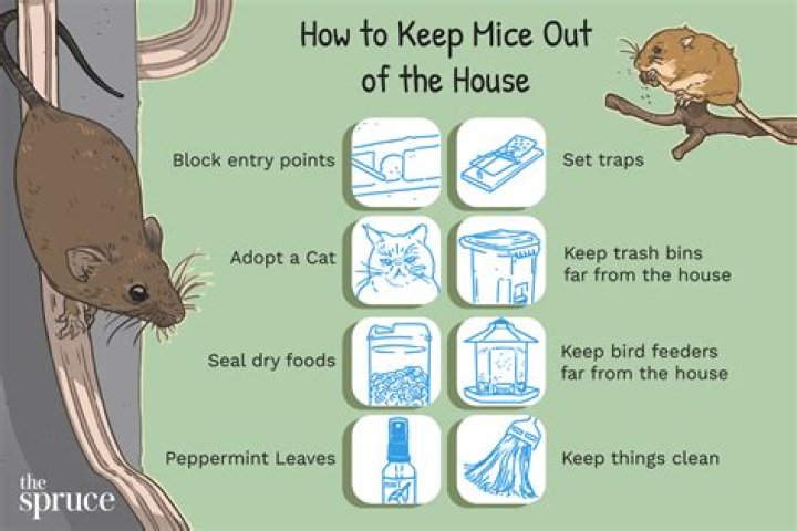 How do I keep mice out of my aviary