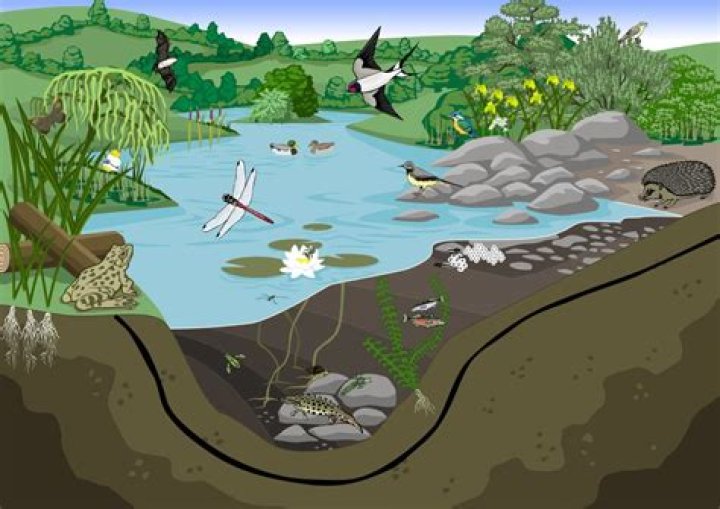 How do I make my pond child safe