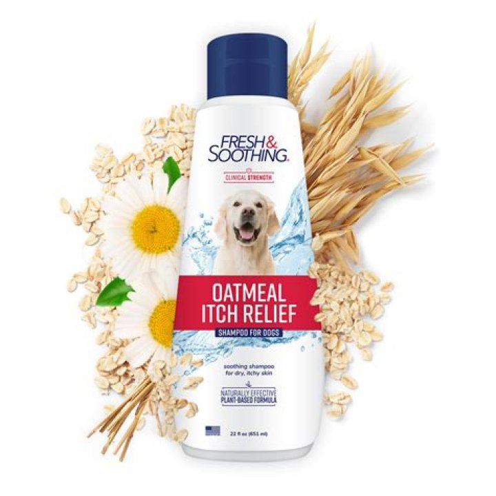How do I make oatmeal shampoo for my dog