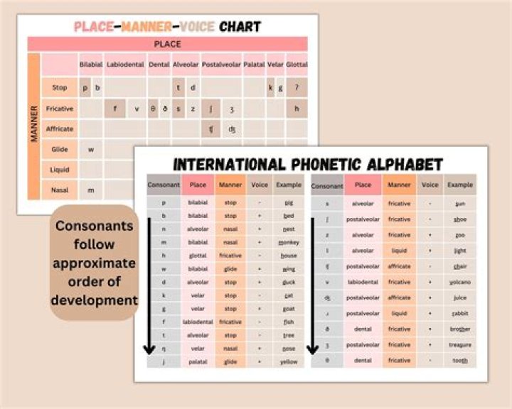 How do I remember the IPA consonant chart