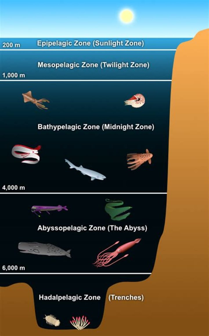 How do layers form in the ocean