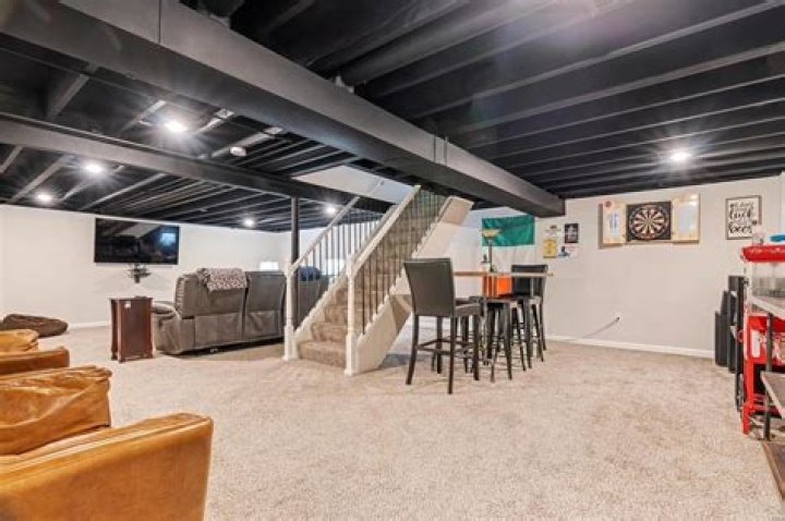 How do mice get in basement ceiling