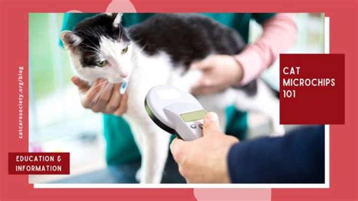 How do microchip dog doors work