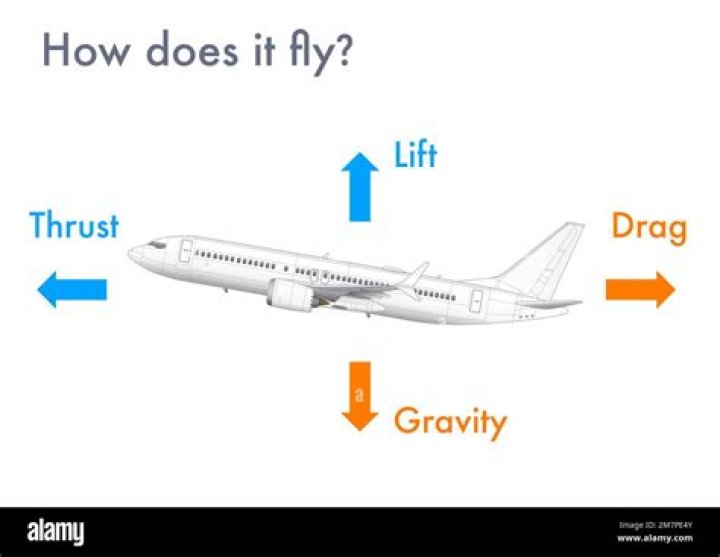 How do planes fly against gravity
