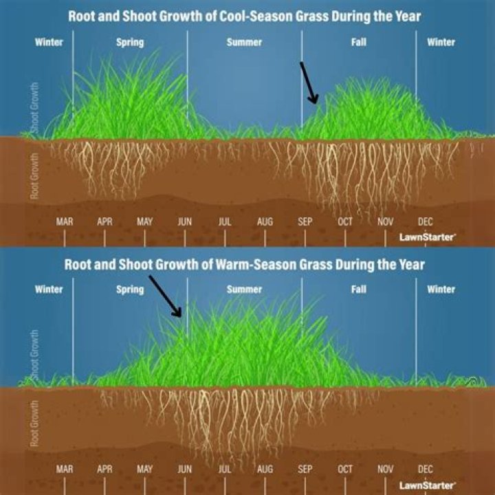 How do you calculate hydroseeding