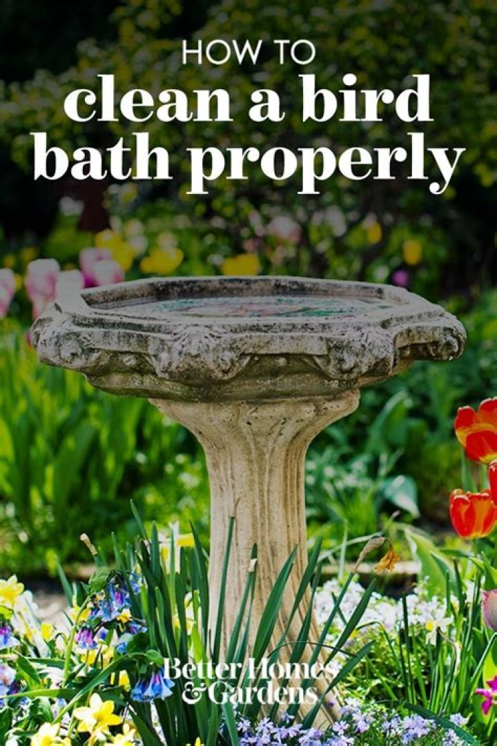 How do you clean a bird bath with peroxide
