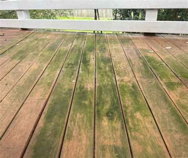 How do you clean algae off a deck