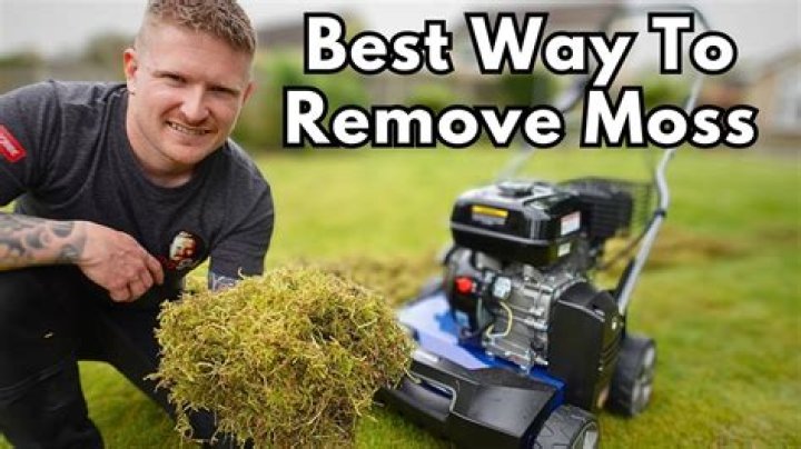 How do you clean moss off rocks
