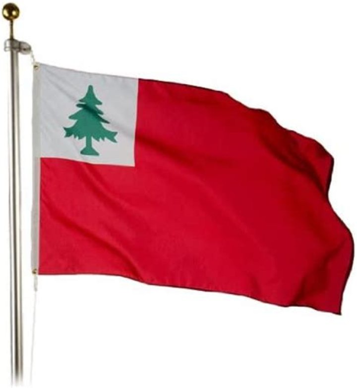 How do you date a Valley Forge Flag