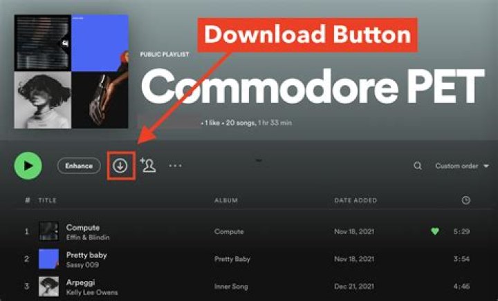 How do you delete downloaded songs on Melon