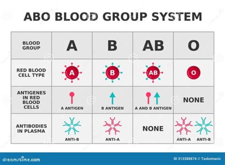How do you do blood grouping by tube method