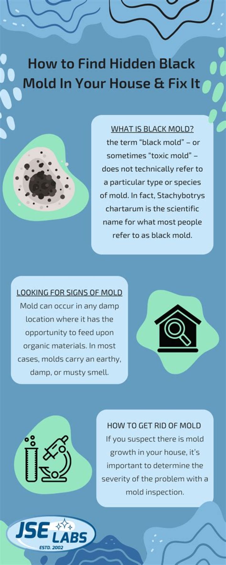 How do you get rid of black mold in your home