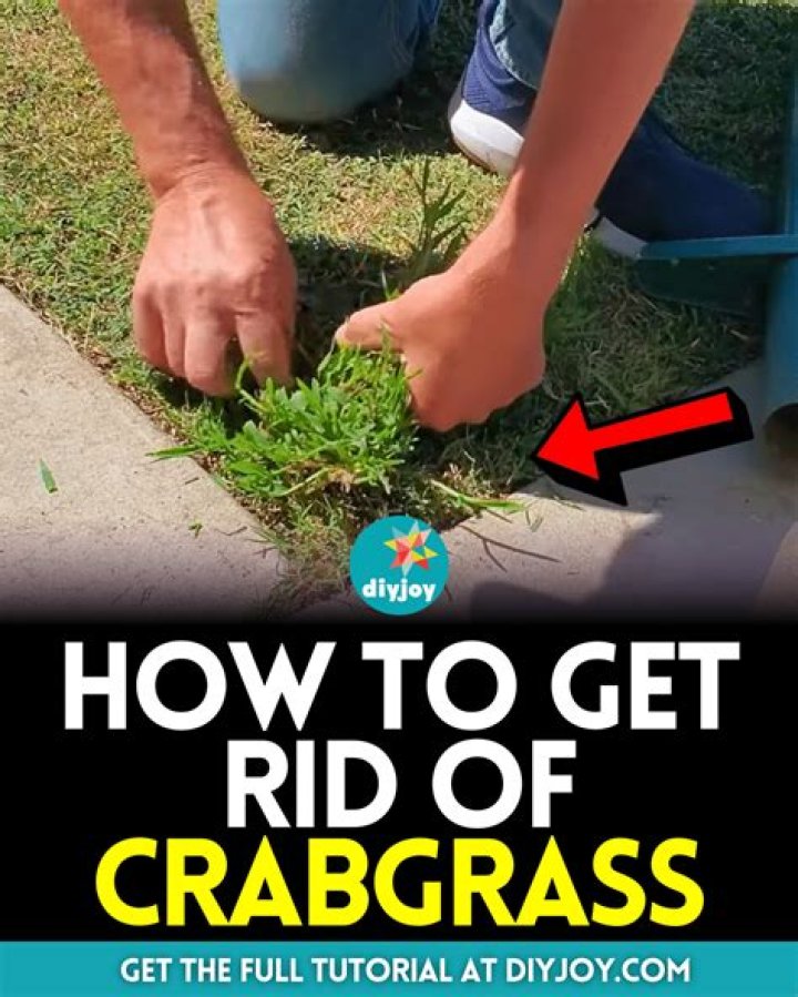 How do you get rid of crabgrass in July