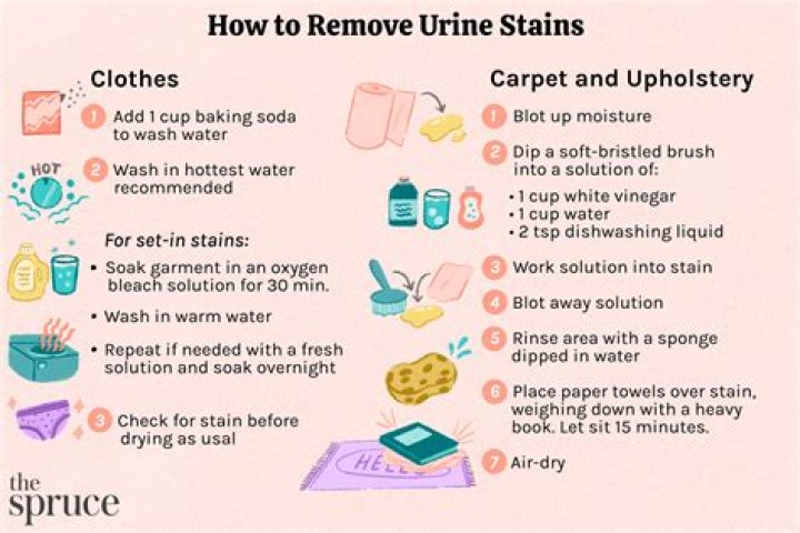 How do you get urine stains out of a toilet