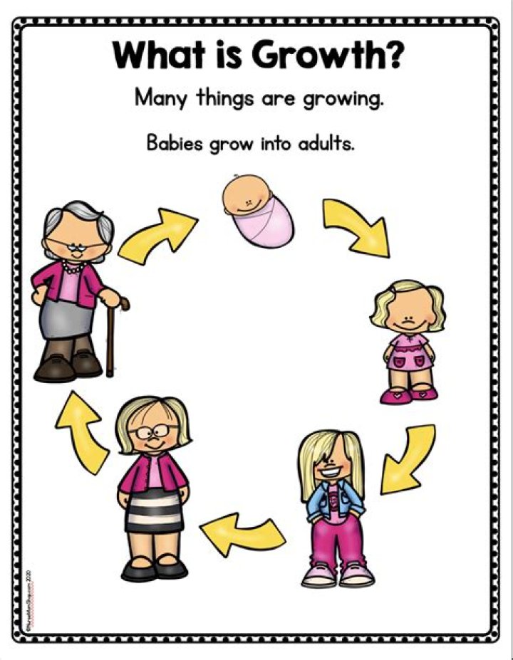 How do you grow Chaya