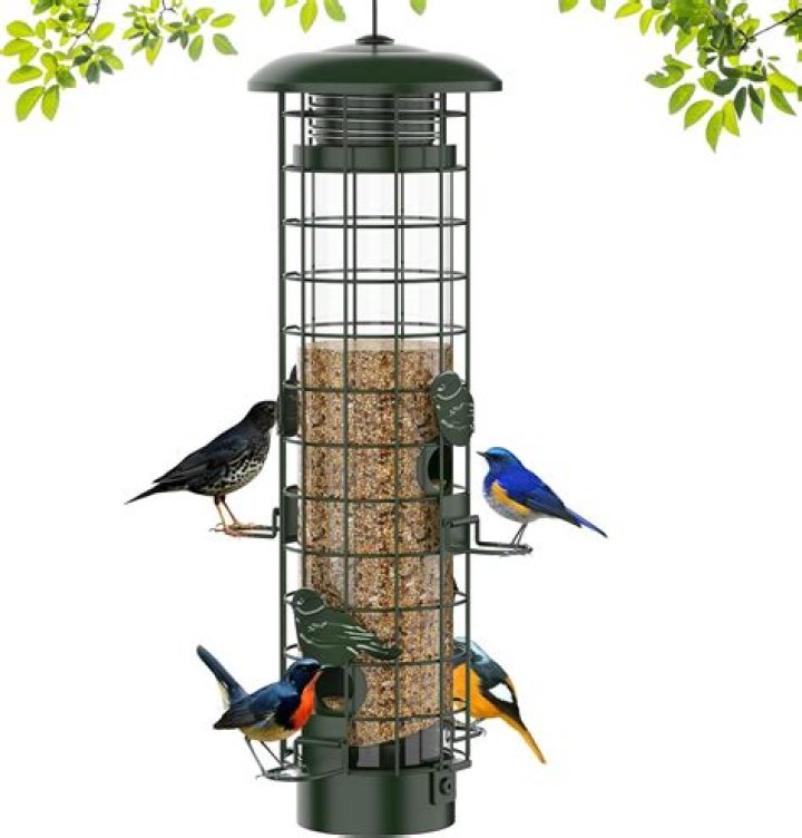How do you hang a bird feeder