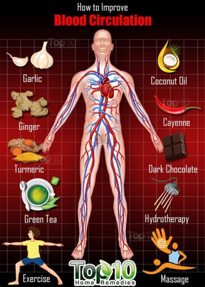 How do you increase blood in your body