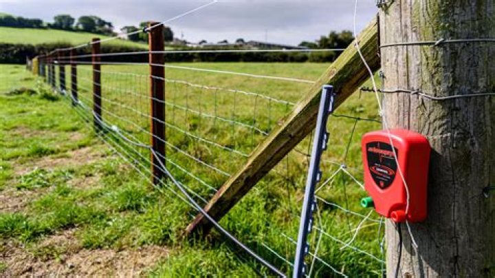 How do you keep a goat in an electric fence