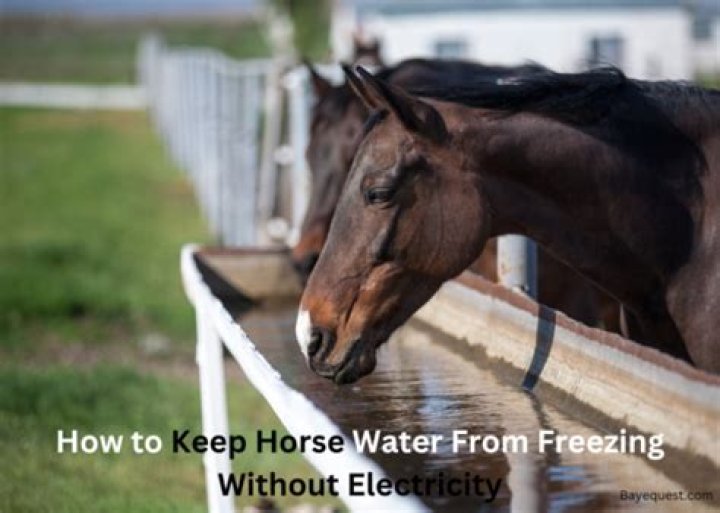 How do you keep a horse trough from freezing without electricity