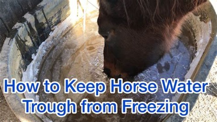 How do you keep a horses trough from freezing