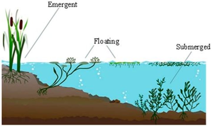 How do you keep a submerged flower from floating
