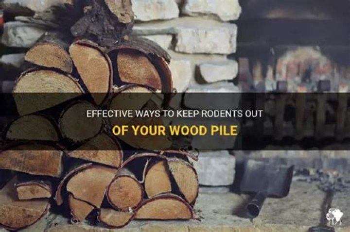How do you keep bugs out of wood pile