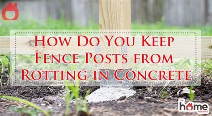 How do you keep fence posts from rotting in concrete