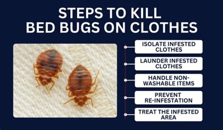 How do you kill bed bugs yourself