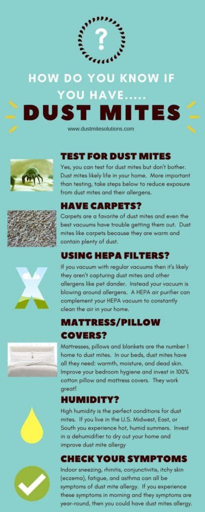 How do you know if you have dust mites