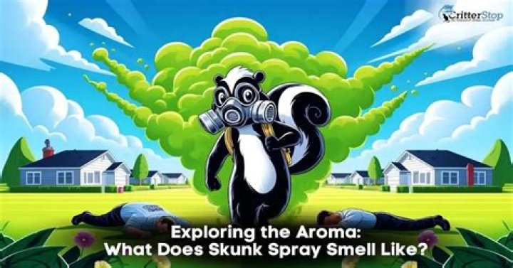 How do you know when a skunk is going to spray