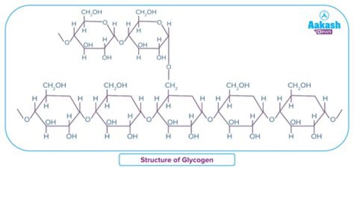 How do you load up glycogen