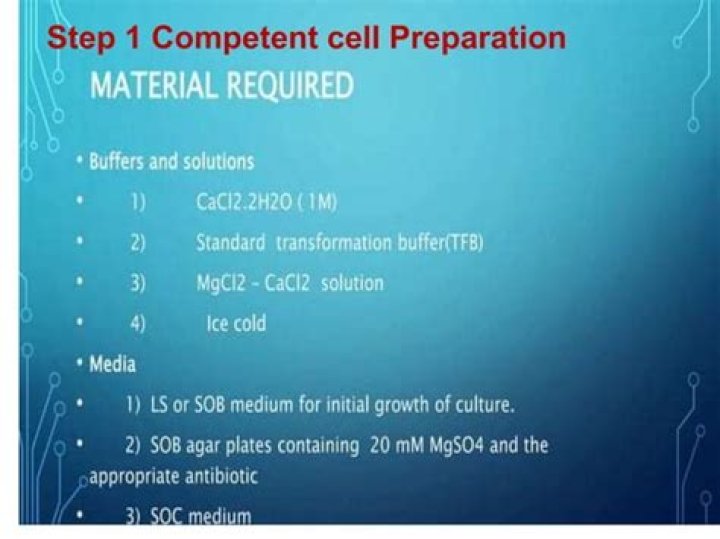How do you make a competent cell protocol