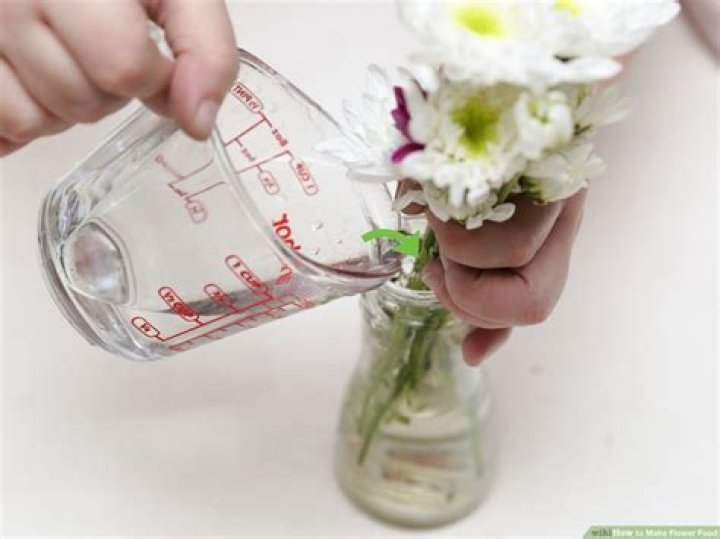 How do you make a flower preservative solution