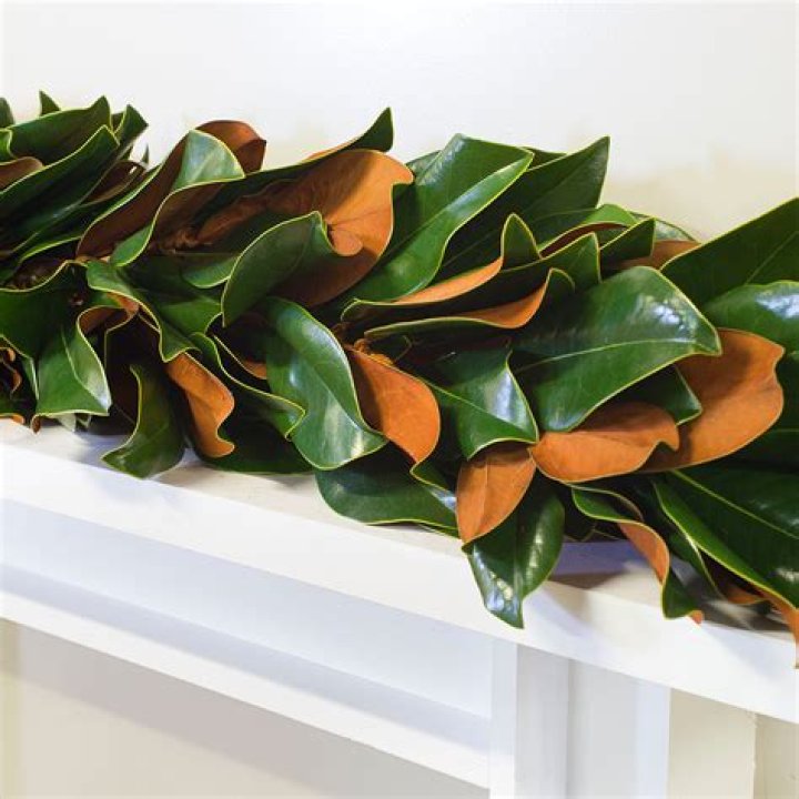 How do you make a magnolia leaf garland