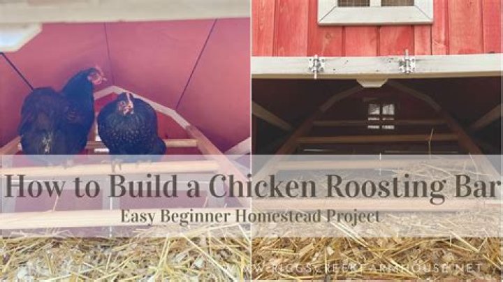How do you make roosting perches for chickens