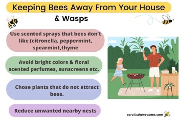 How do you make sweat bees go away