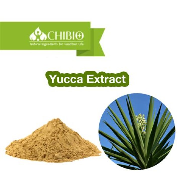 How do you make yucca extract