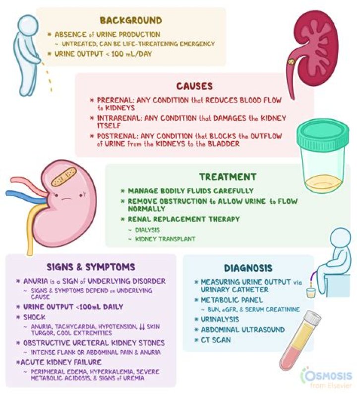How do you manage oliguria