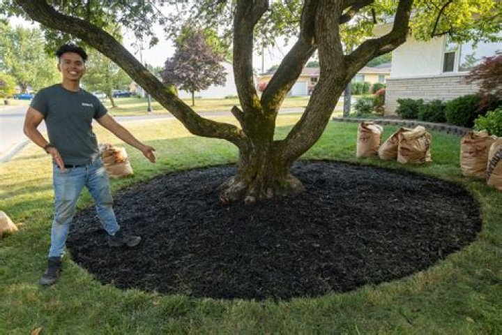 How do you mulch in the spring