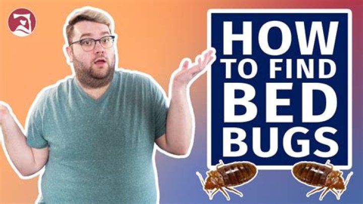 How do you not bring bed bugs home from camp