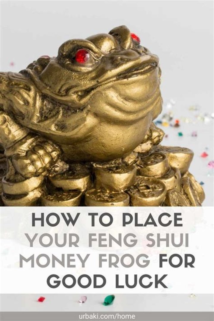 How do you place a money frog in your house