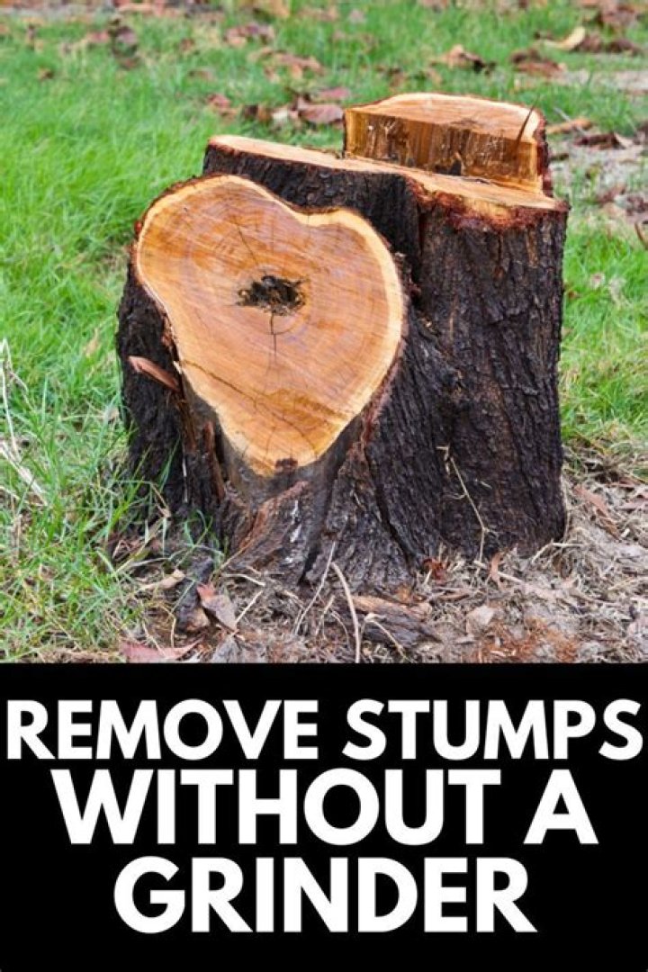 How do you remove a stump without a grinder