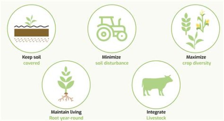 How do you restore healthy soil