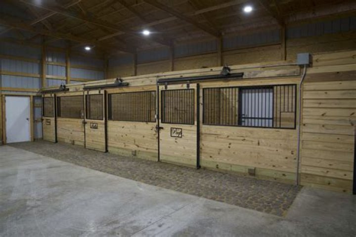 How do you sanitize a horse stable